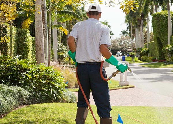 About Garden City IA Pest Control